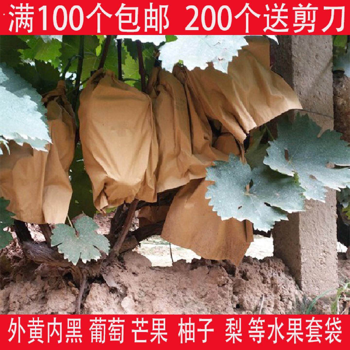 露天葡萄专用套袋加厚纸袋梨袋子巨峰外黄内黑防雨防病白色防虫袋