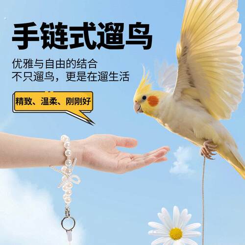 鹦鹉放飞绳不伤脚超轻牵引绳虎皮玄凤牡丹小太阳脚环脚炼遛鸟绳芰