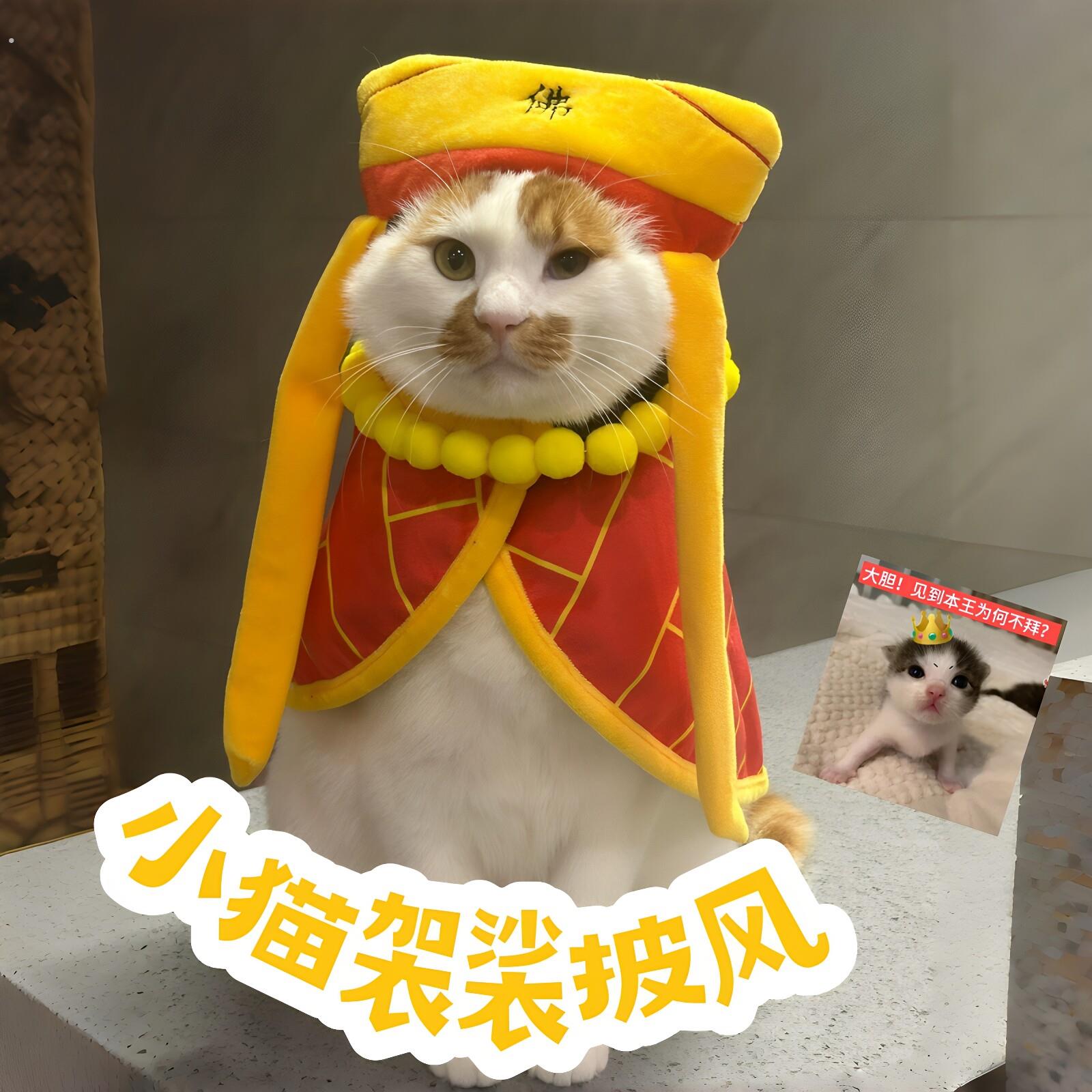 唐僧骑马咚那个咚！小猫袈裟披风猫咪狗狗可爱服饰小型宠物小斗篷
