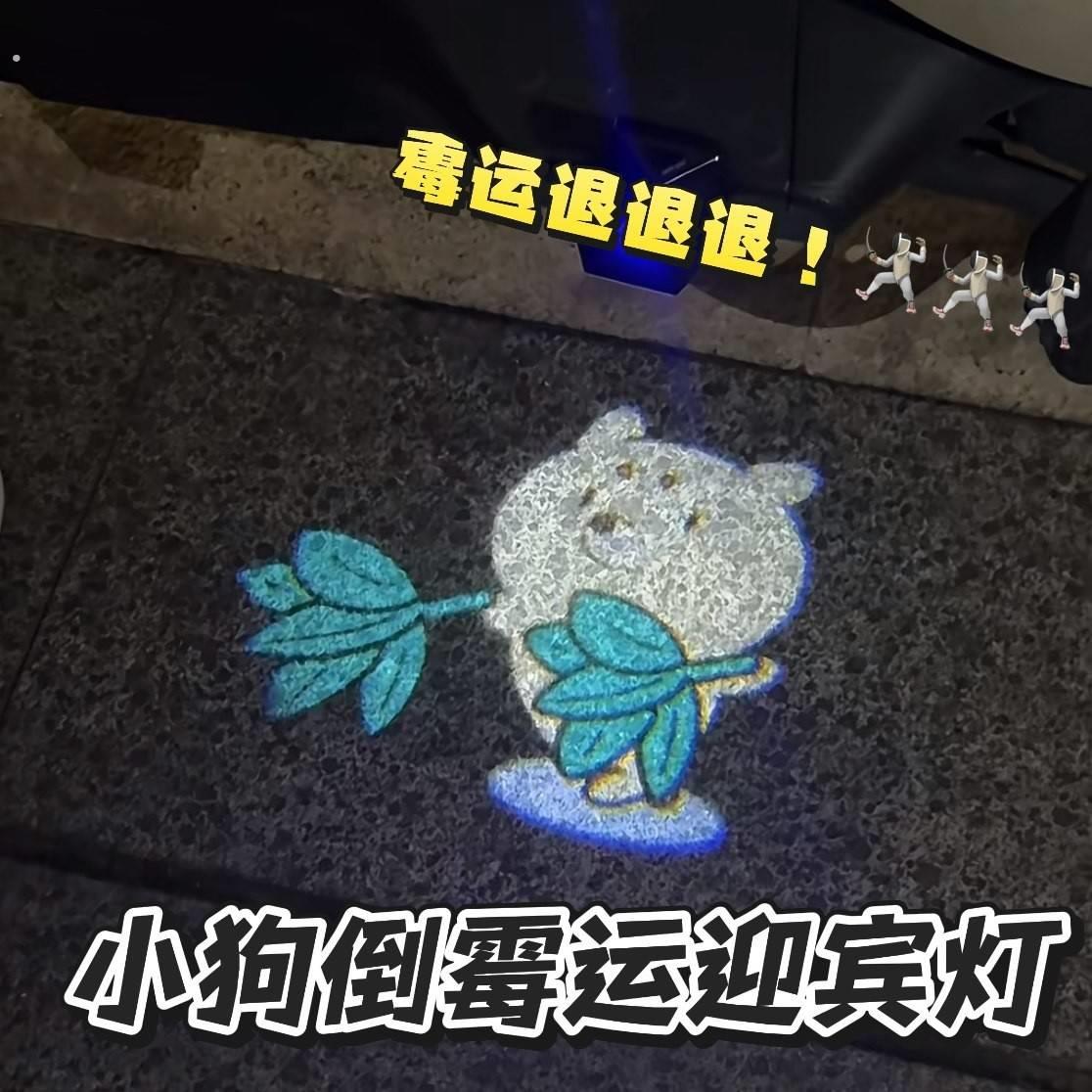 小狗扫霉运~电动车投影灯汽车车门摩托车动态夜灯夜晚骑行警示灯