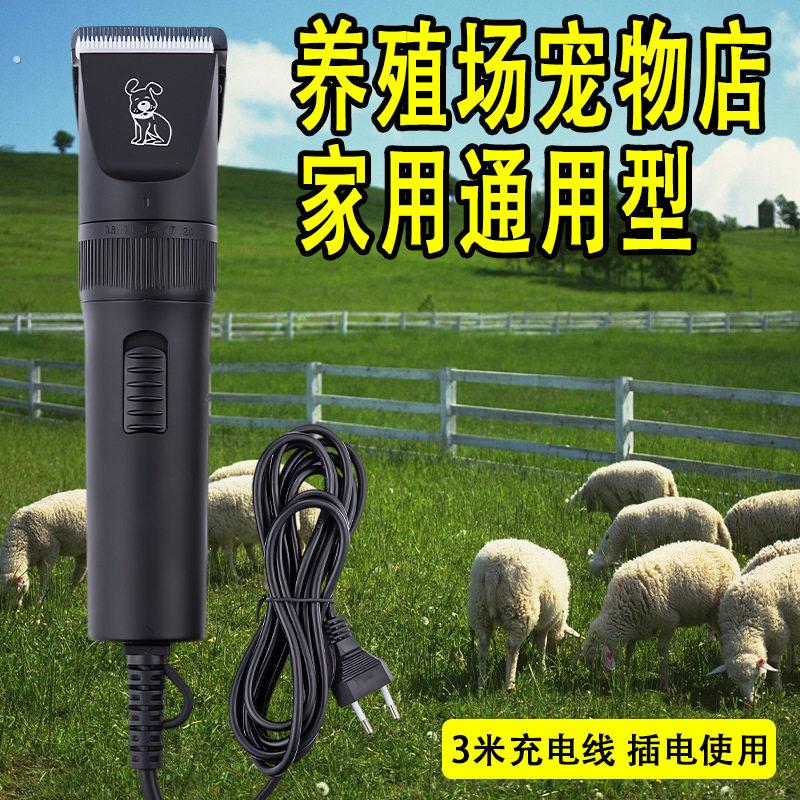 羊毛电推剪大型犬羊毛剪大狗插电宠物剃毛器专业剃狗毛大功率专用