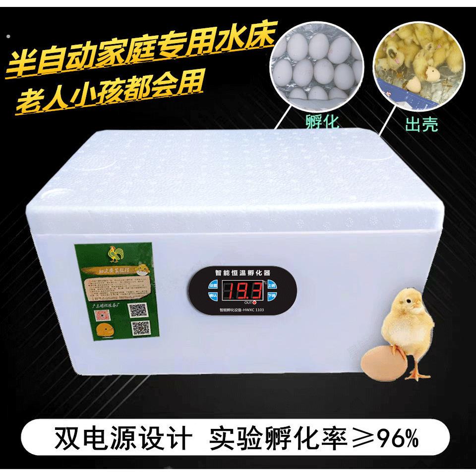 电敷小鸡孵化孵蛋器全自动家用小型机智能恒温鸡孔雀鹦鹉器鸡蛋大