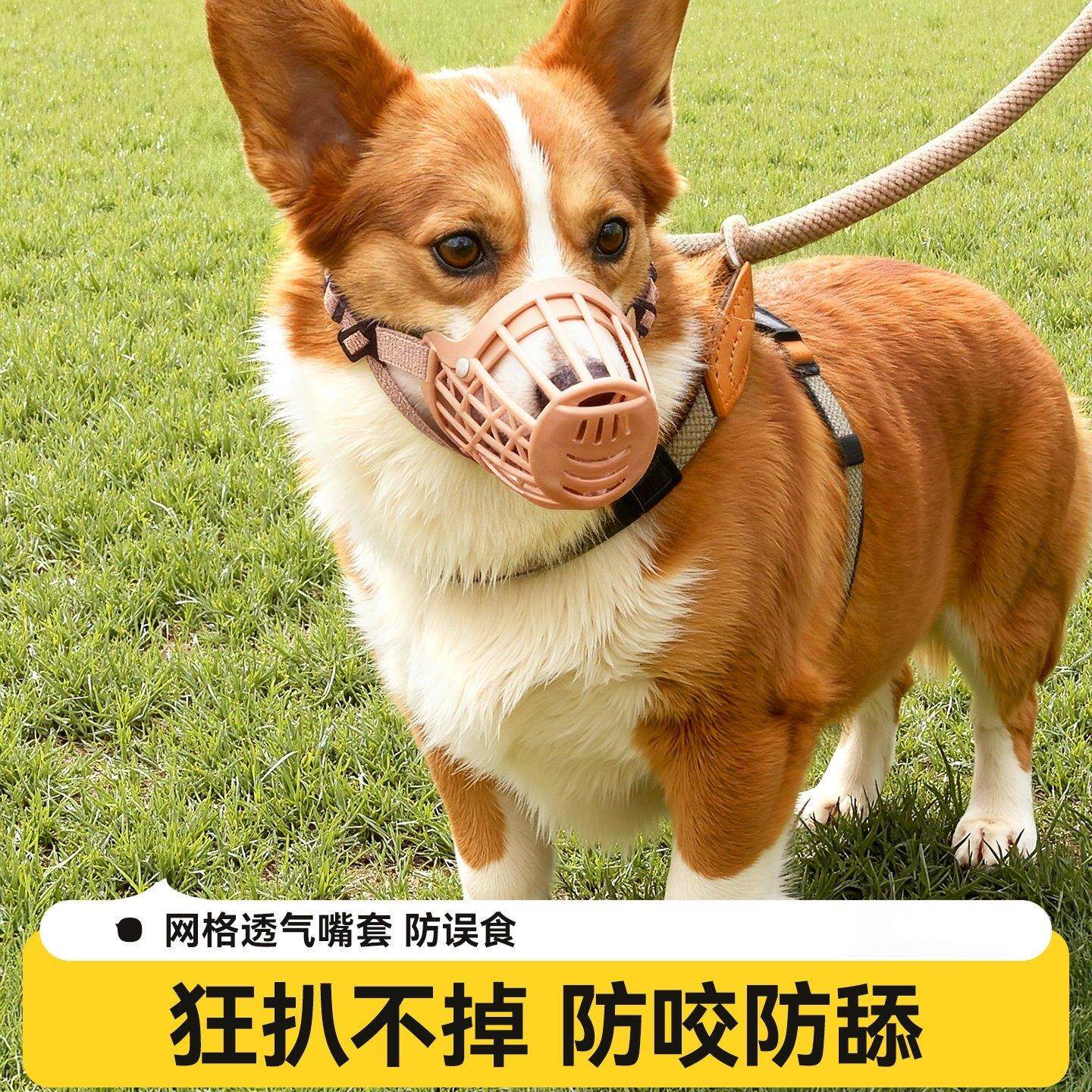 狗狗嘴套防咬防叫防乱吃神器可喝水嘴罩小狗口罩中小型犬柯基嘴套