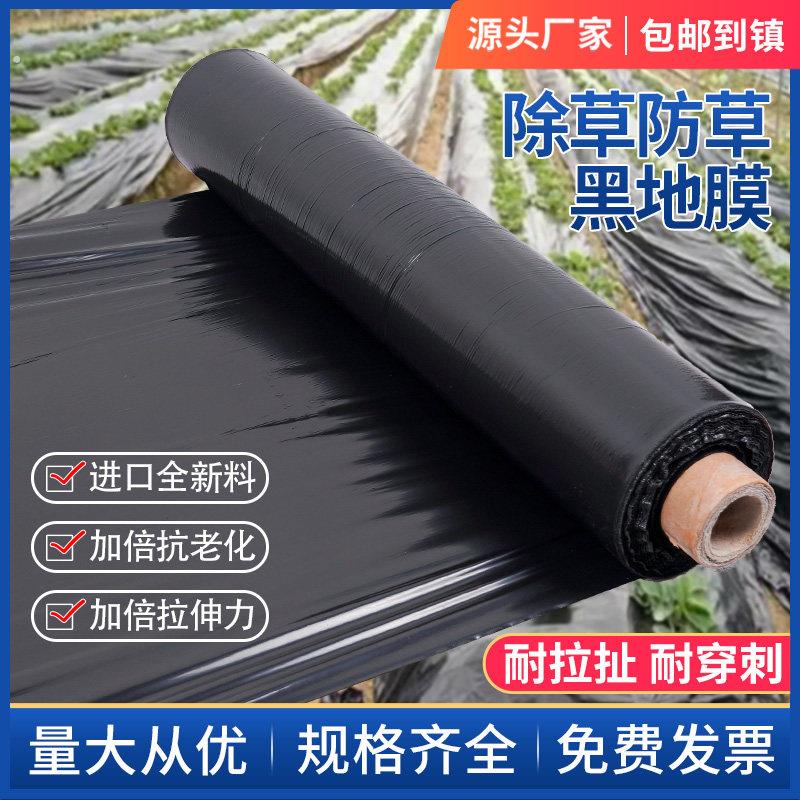 农用地膜加厚抗老化黑地膜塑料薄膜防草种植棚蔬菜果园种植黑地膜