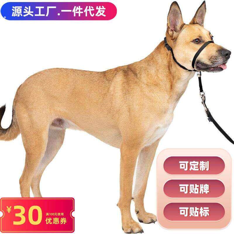 宠物狗狗嘴套口罩防乱吃嘴罩防叫防咬柯基泰迪专用防舔嘴巴套小型