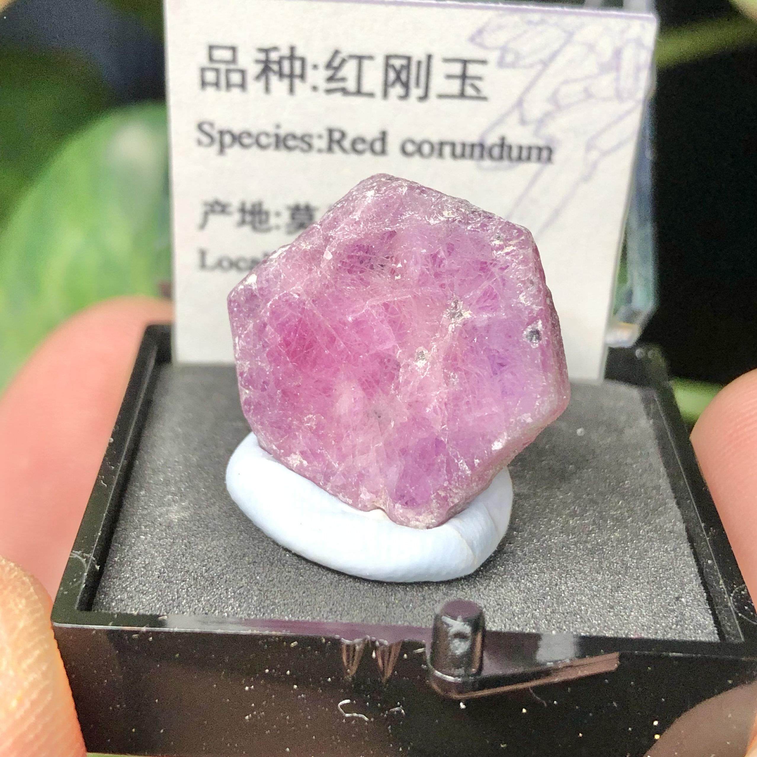 天然萤光红宝石红刚玉原矿石红宝石矿标萤光矿物猫矿奇石教学标本
