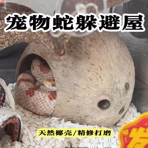 宠物蛇躲避屋日常椰壳攀爬生态大号小号装饰爬宠蛇缸生态造景用品