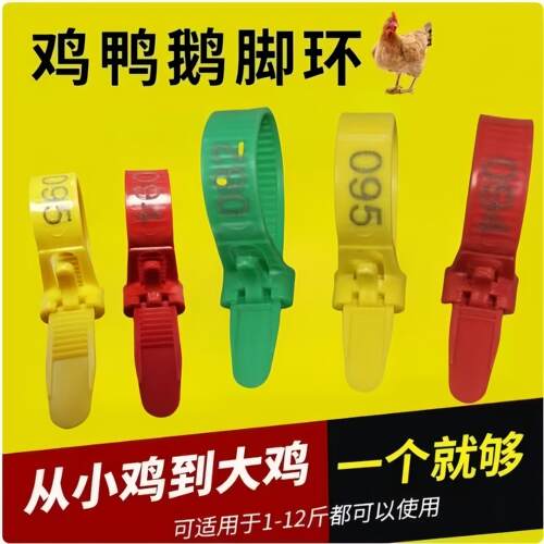 鸡用脚环记号拉扣卡扣家禽鸡脚多功能识别鸡鸭标签家禽类扎带记号
