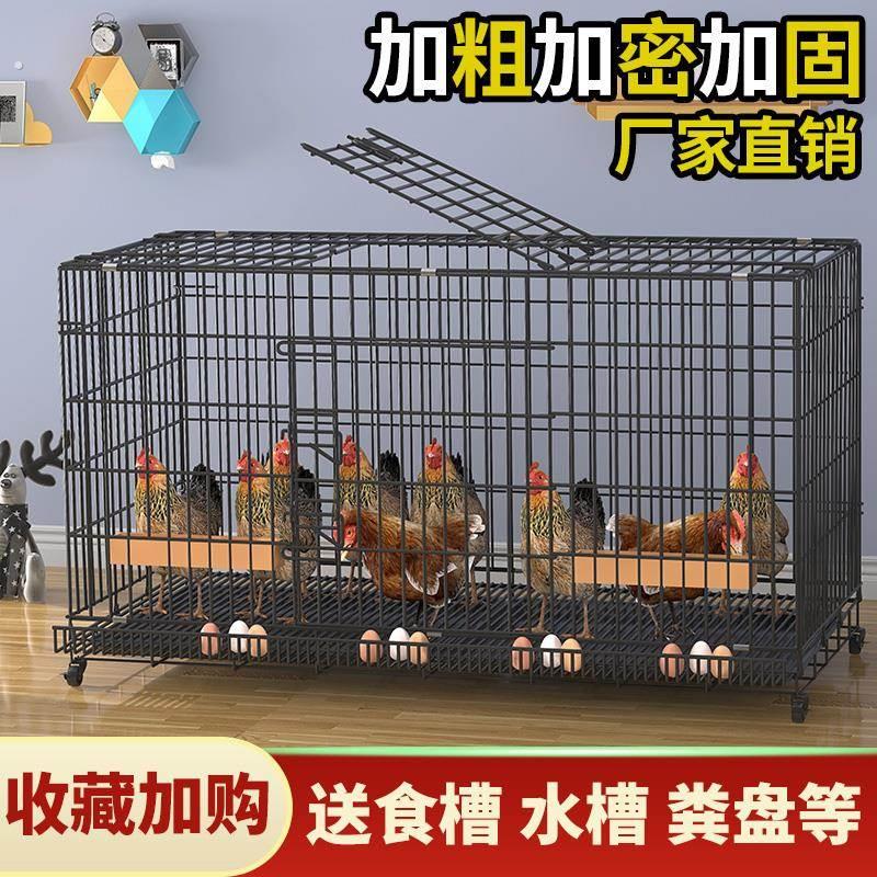 鸡笼子养殖笼家用大号特大号自动滚蛋清粪折叠养殖笼鸡舍鸡窝笼子
