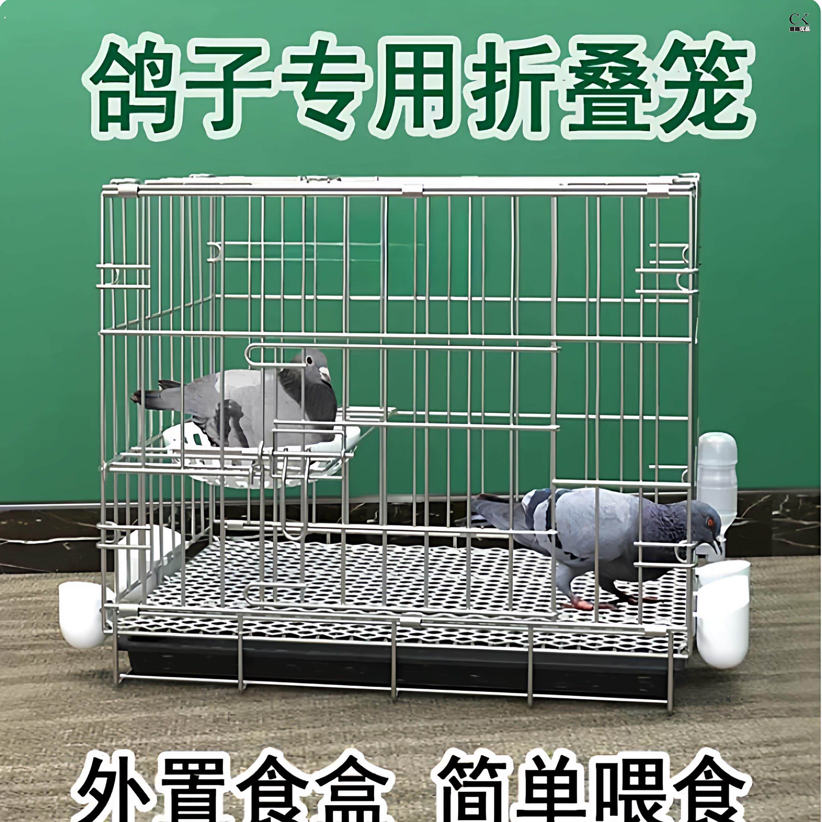 鸽子笼养鸽子专用笼养殖笼家用繁殖笼配对笼大号新型鸽舍鸽子笼子