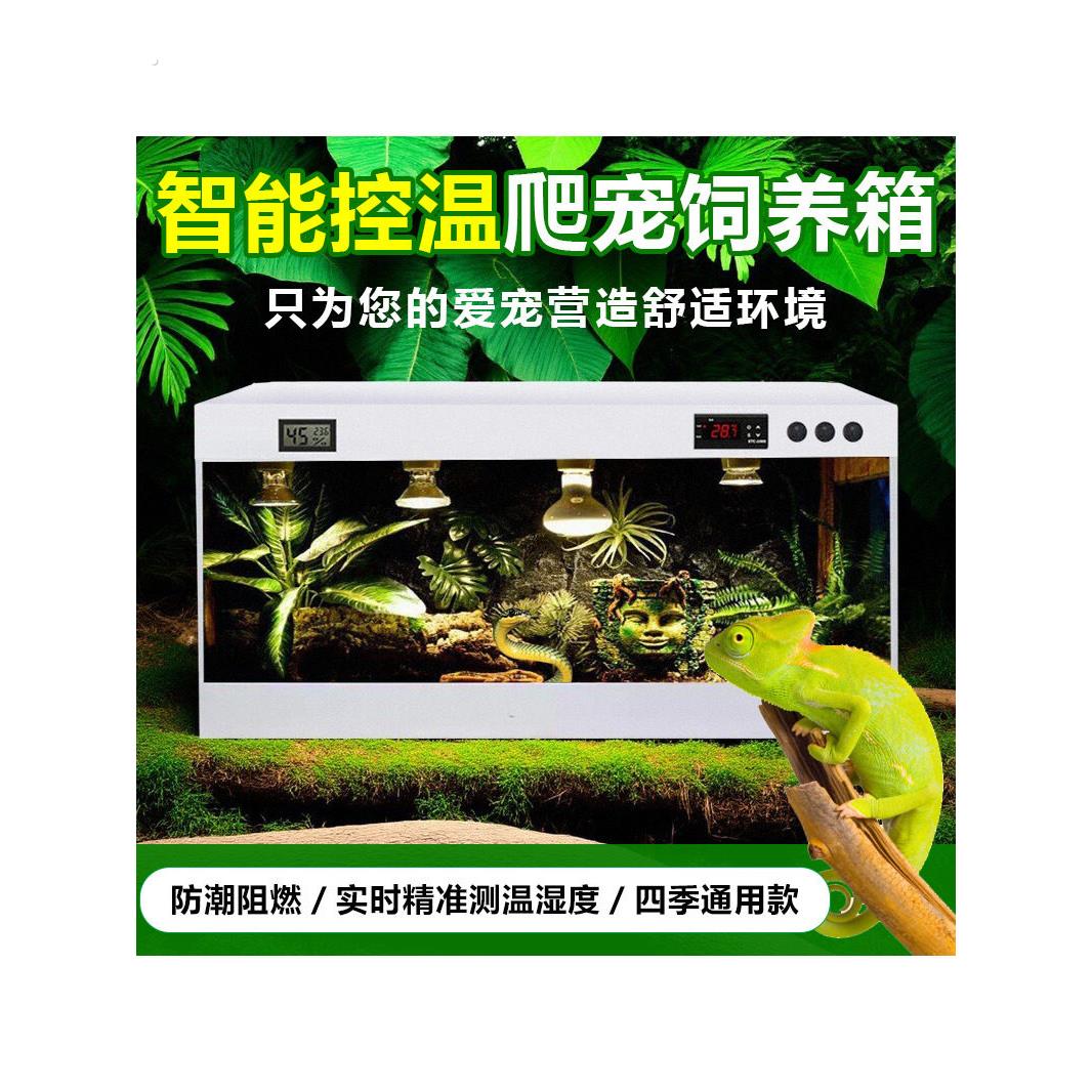 爬行动物宠物繁殖箱鬃狮蜥蜴豹纹睫毛角壁虎海龟科尔鸭蜘蛛刺猬蛇