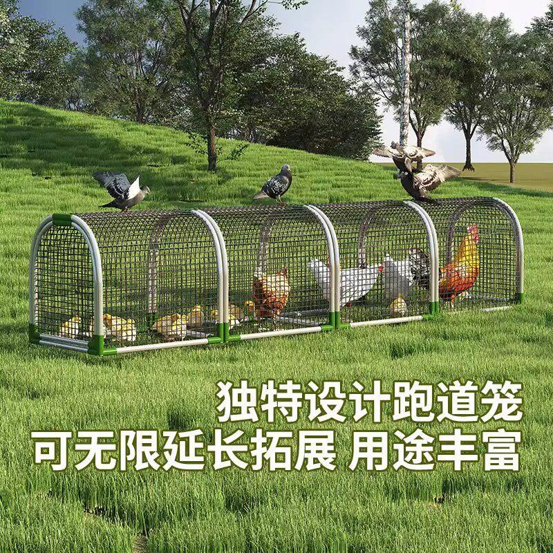 走地铁网鸡笼跑道养鸡隧道笼子农场户外溜达鸡笼子庭院农家用散养