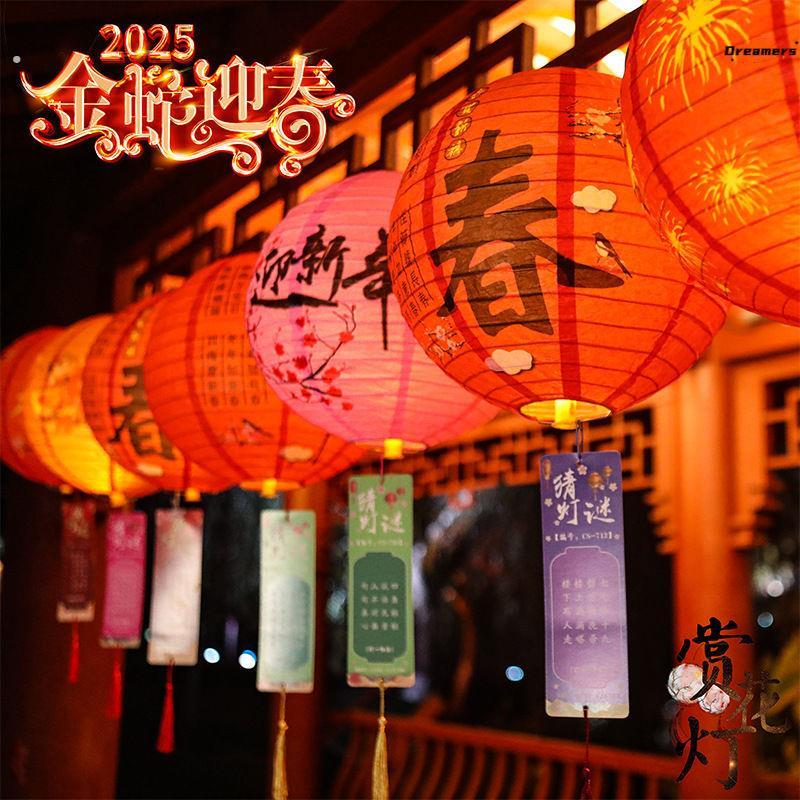 新年灯笼2025年蛇年中式国风商场风景区春节元宵猜灯谜活动装扮厂