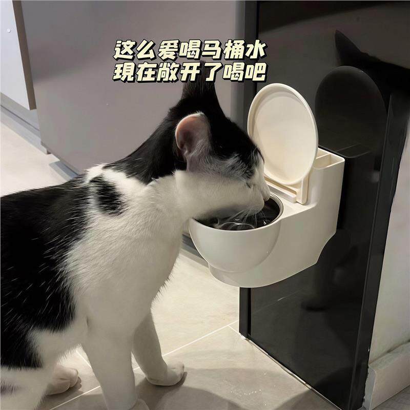 创意马桶猫咪水碗悬挂式防打翻护颈骗水神器猫猫宠物专用2025新款