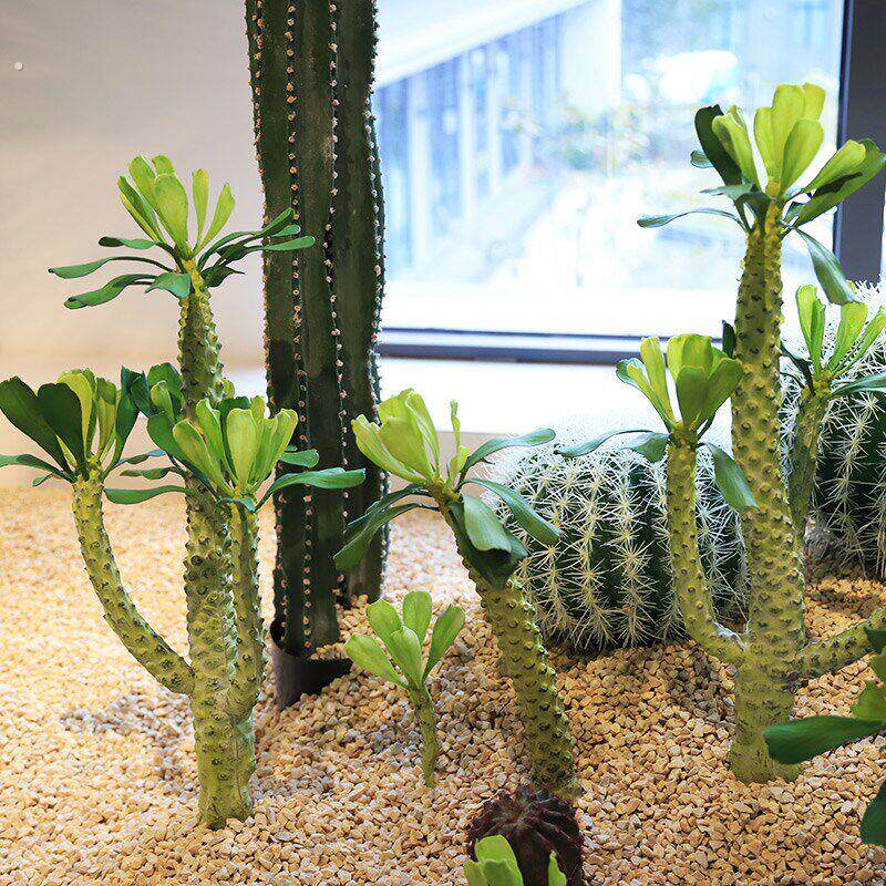 仿生霸王鞭沙漠植物室内热带沙生绿植景观造景仿真仙人掌霸王树
