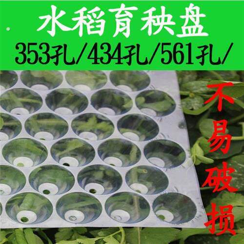 抛秧盘育秧盘手工水稻抛秧盘穴盘机插秧盘机栽秧盘353/434机抛