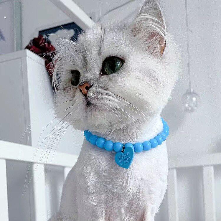 狗狗项链,小猫项链,项链网红不掉色猫咪项链可爱脖圈狗狗佩戴饰品