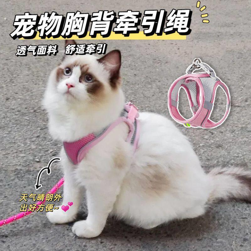 猫咪牵引绳可调节溜猫牵引绳猫绳子猫牵引防挣脱外出专用猫绳背带