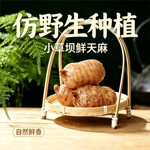 云南昭通小草坝乌天麻产地直发