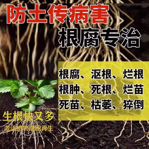 生根水复活液枯树再生液植物剂原液粉多灵菌救花树发芽营养速效