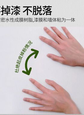 乳胶漆环保净味白色内墙漆彩色旧房翻新漆家用自刷硅藻泥水性涂料