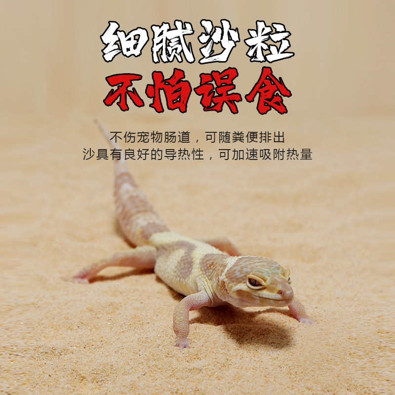 爬虫无菌沙陆龟垫材鬃狮蜥蜴守宫爬宠缸/箱