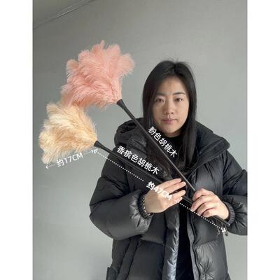 肉粉鸵鸟毛掸子胡桃木柄鸡毛掸子静电除尘掸家用扫车桌面装饰掸