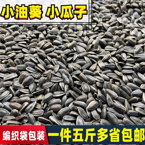 生黑珍珠小瓜子油葵籽 鹦鹉鸟食仓鼠零食鸟粮鸽粮5斤包邮