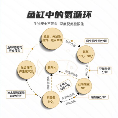 水之国鱼你消氮君好氧耐氧反硝化细菌鱼缸用淡海水快速去除硝酸盐