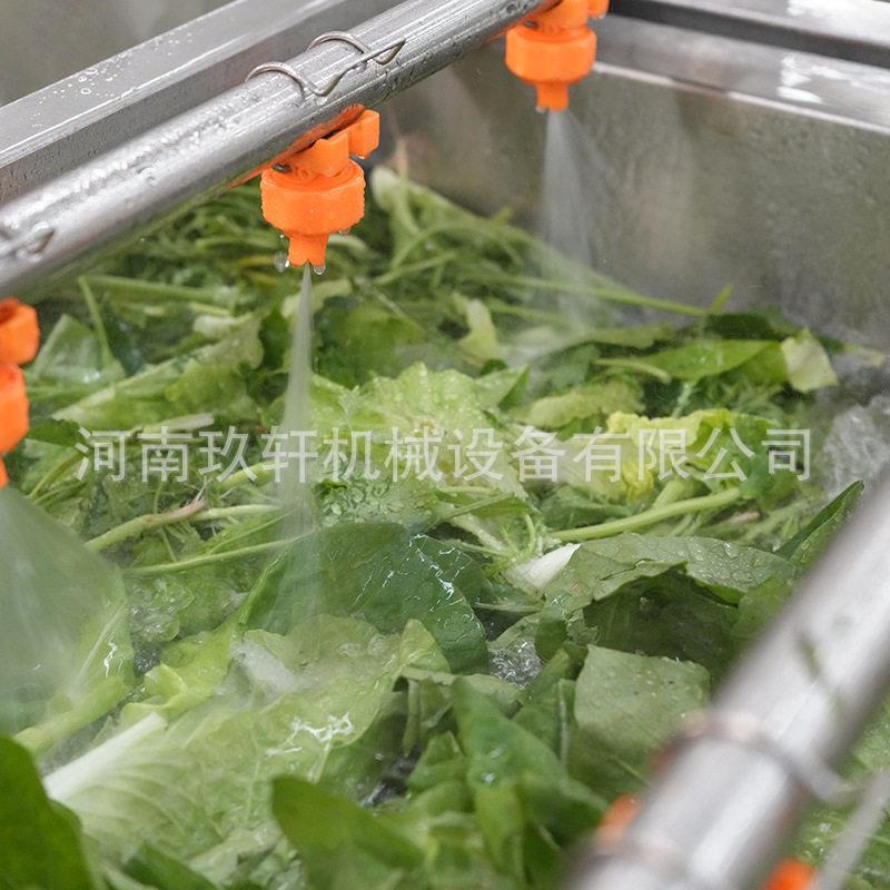 大型果蔬去泥鼓泡清洗设备海带豆芽清洗设备自动提升洗菜机