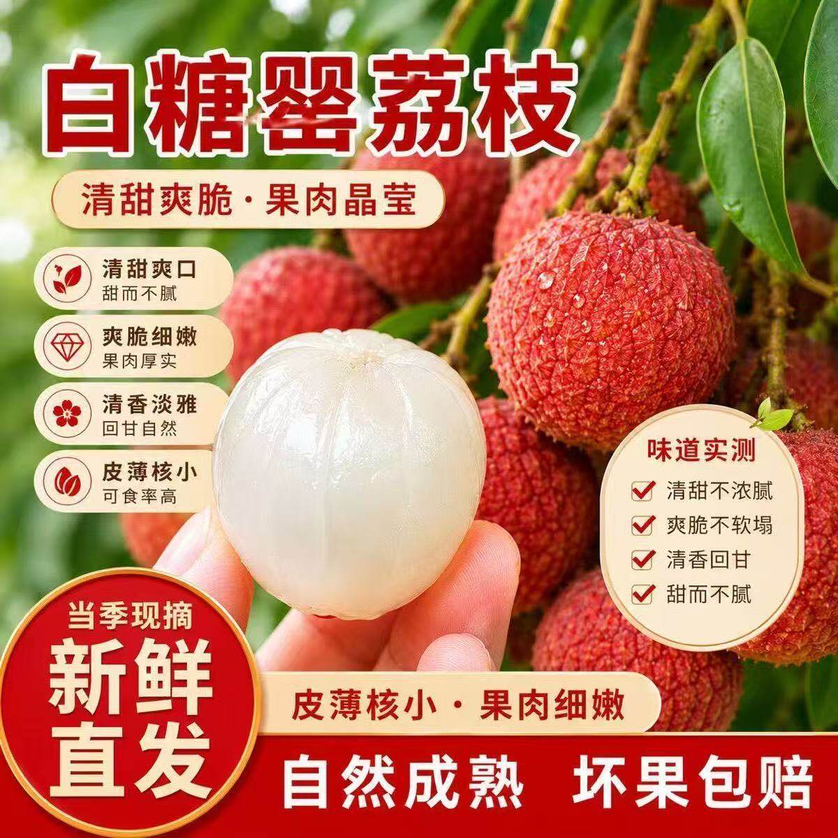 正宗茂名白糖罂荔枝【冷链直达】
