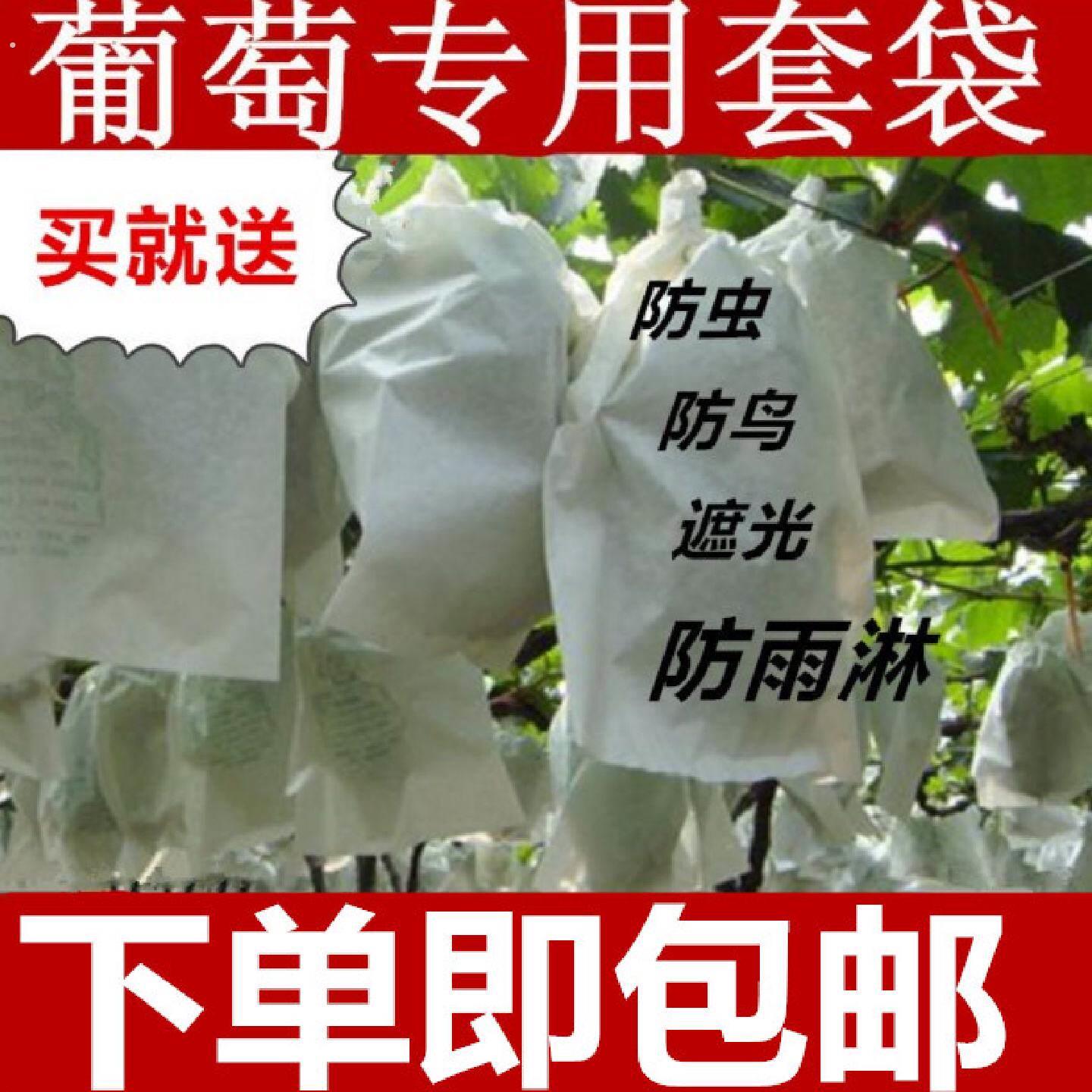 葡萄套袋半透明葡萄袋专用育果袋葡萄袋子防水防虫阳光玫瑰套袋