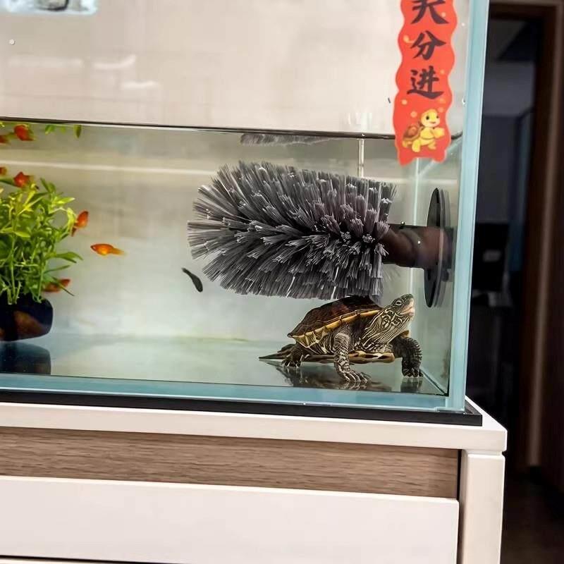 乌龟刷背刷刷背神器吸盘式洗碗刷洗澡蹭背刷子爬宠多功能清洁刷子