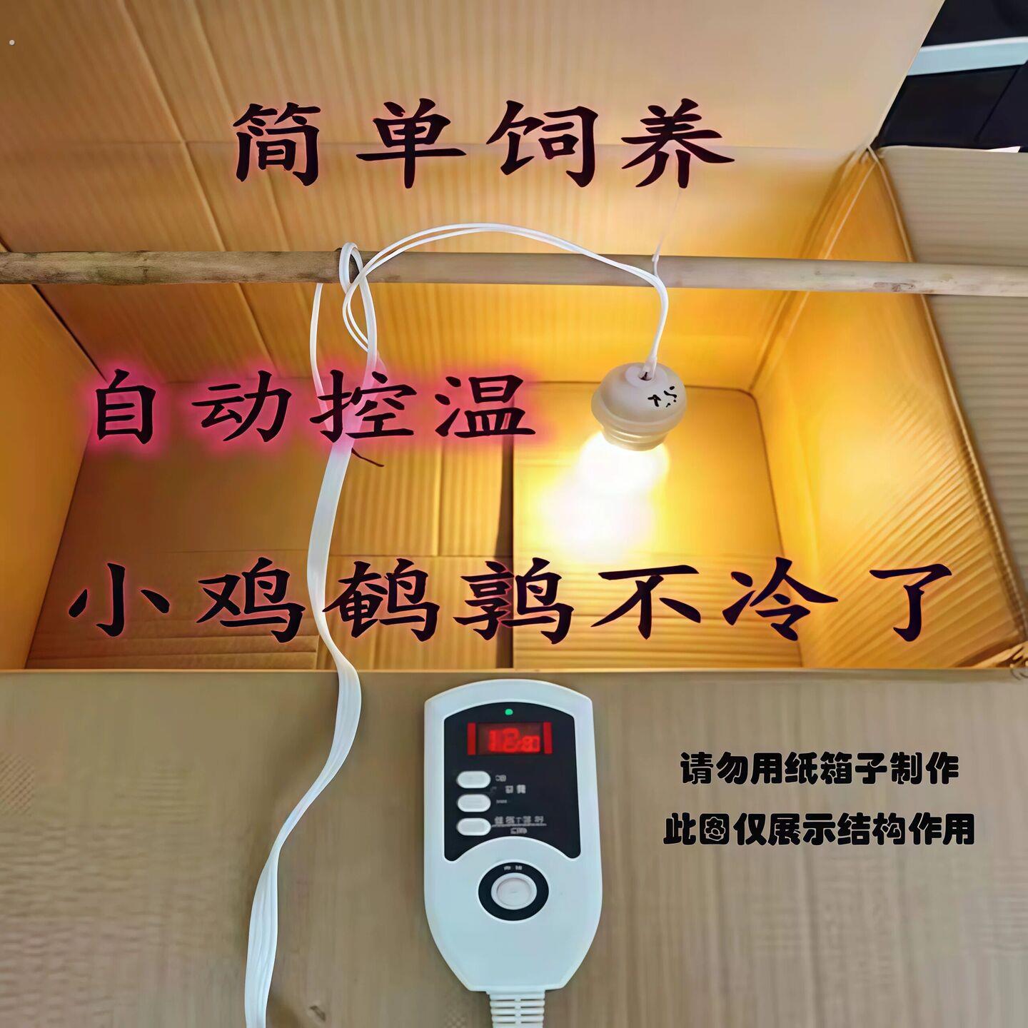 小鸡保温灯自动控温雏鸡保温箱自动控制温度鹌鹑育雏箱幼苗养殖灯