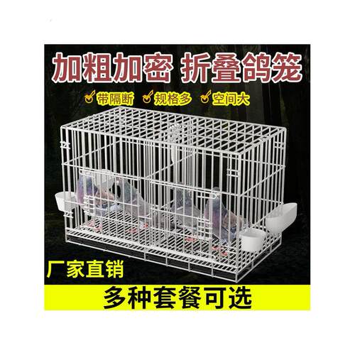 鸡笼子家用大号蛋鸡笼小鸡养殖笼鸭鹅鸡窝田鸡笼室外自动滚蛋鸡笼