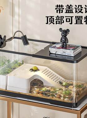 生态乌龟饲养缸小型全套乌龟缸造景办公桌透明长方形周转箱蜗牛