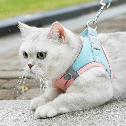 宠物胸背带小型犬背心式狗狗牵引绳反光透气遛狗绳子猫咪用品布质