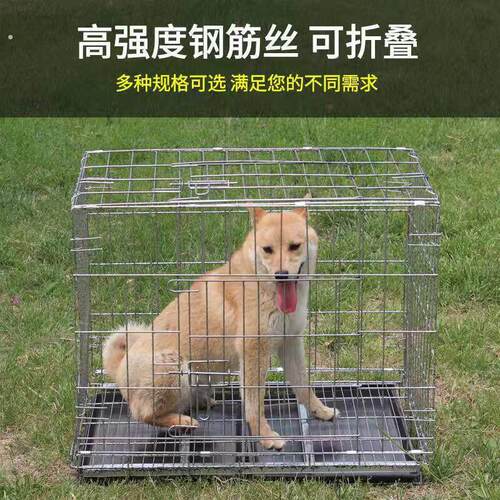 大型犬宠物方管笼折叠狗笼子家用养殖特大号鸡窝鸽子兔笼加固狗笼