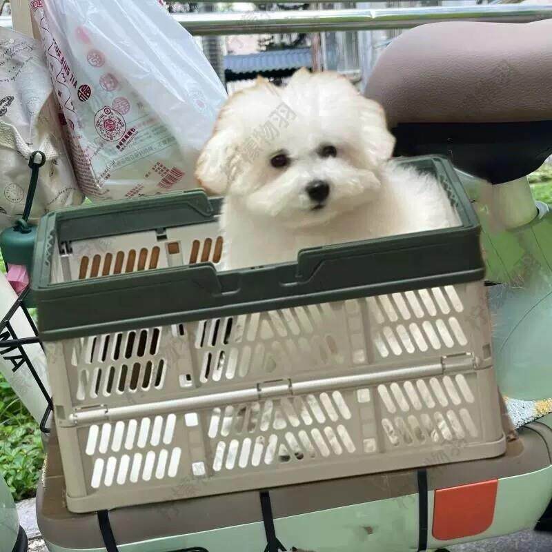 电动车带狗狗神器机车宠物滑板车筐可携式透气载狗骑行防掉踏板篮