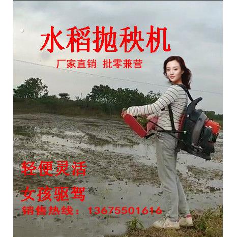 水稻抛秧机 抛秧播种器 揹负式电动抛秧机 抛秧盘 抛插秧机械农用