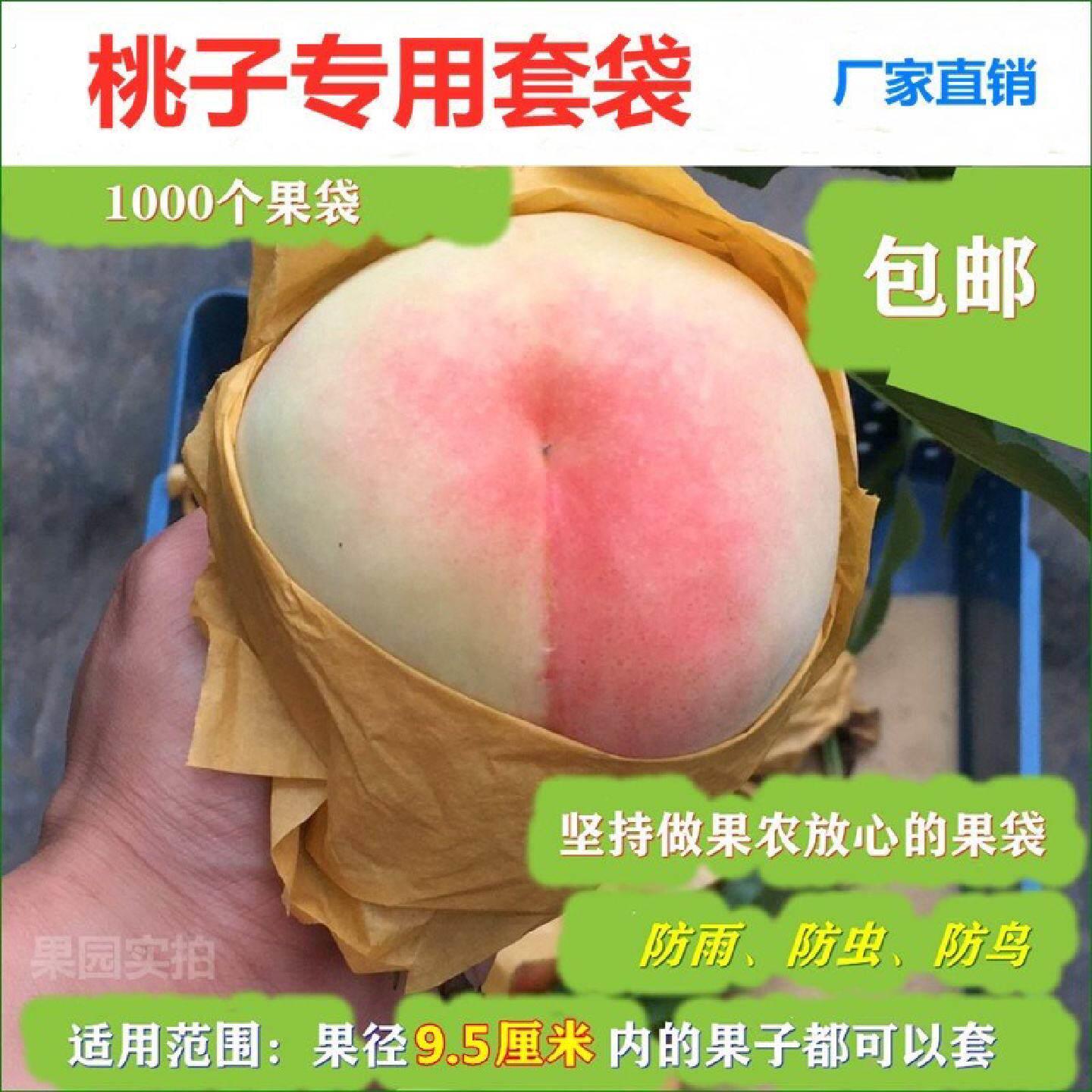 桃子套袋专用袋套桃子的袋子防水防虫鸟育果保护袋水蜜桃桃树桃孑