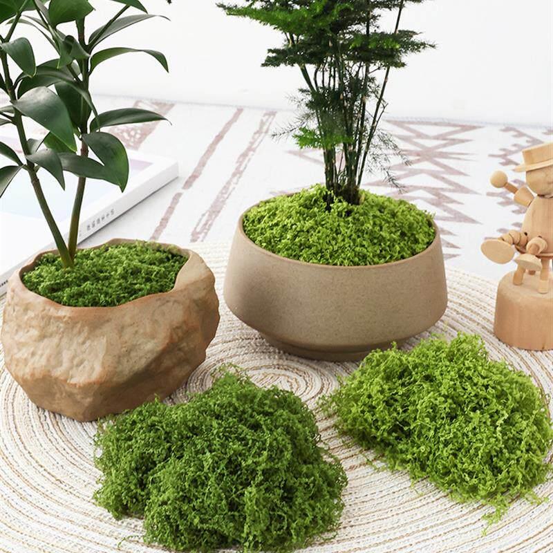 生态缸微景观森林仿真苔藓草皮仿生人造假青苔布置摆件草坪盆景盆