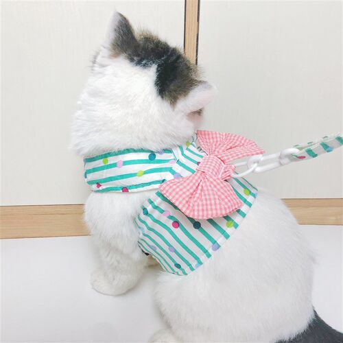 七只猫韩风宠物半身牵引衣春夏猫咪狗狗外出胸背背心式遛狗遛猫绳