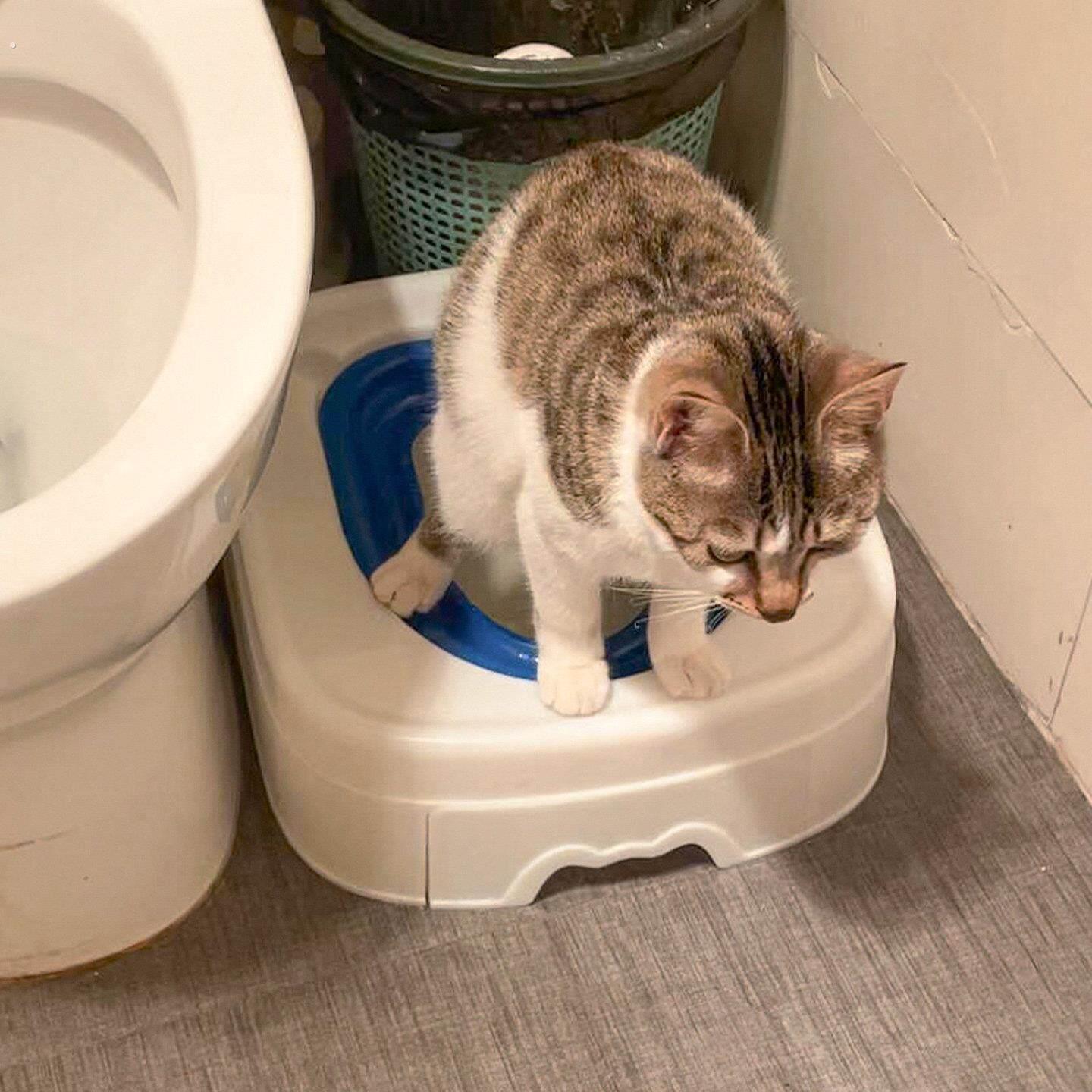 猫厕所蹲坑训练器猫如厕练习神器猫砂盆猫咪专用隔臭防溅砂屎盆