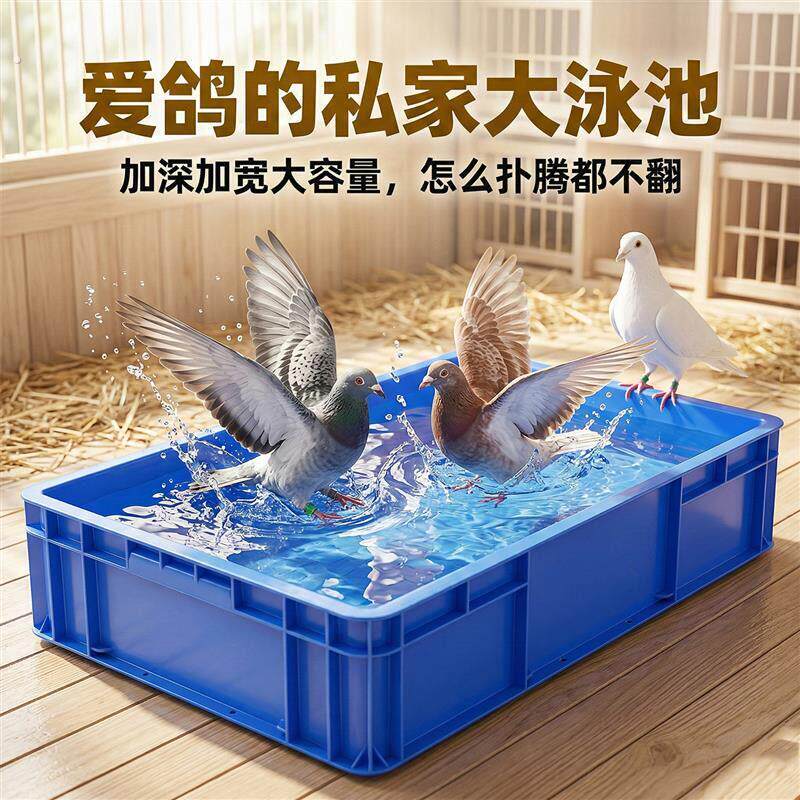鸽子洗澡专用盆鸽子赛鸽信鸽家鸽专用洗澡盆信鸽用品浴盆鸽舍专用