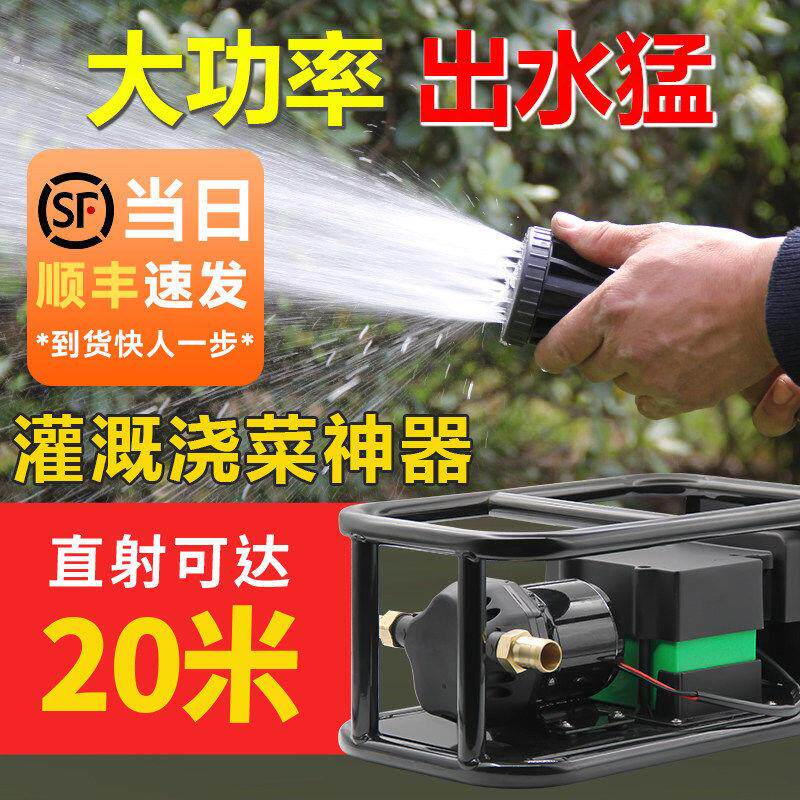 充电式抽水泵大功率大流量户外浇菜神器农用灌溉高压锂电抽水机