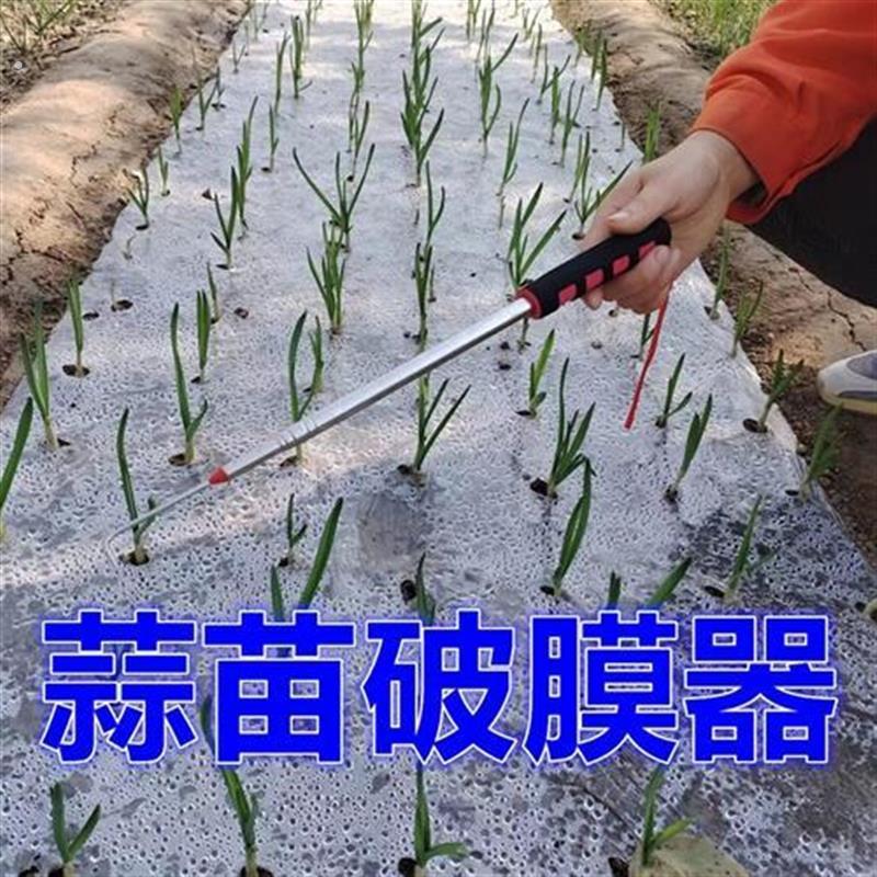 钩蒜神器,钩蒜芽,破膜,挑蒜苗神器,钩蒜苗地膜钩子,放玉米苗。
