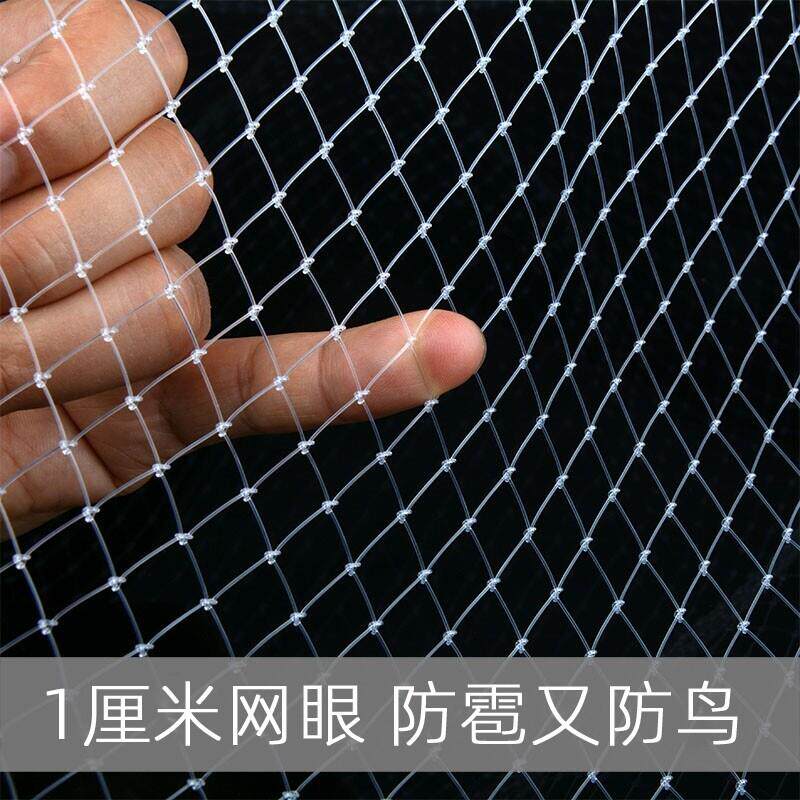 果园专用果树防鸟用网尼龙线防麻雀稻谷农物防护网塘防鸽子抗老化
