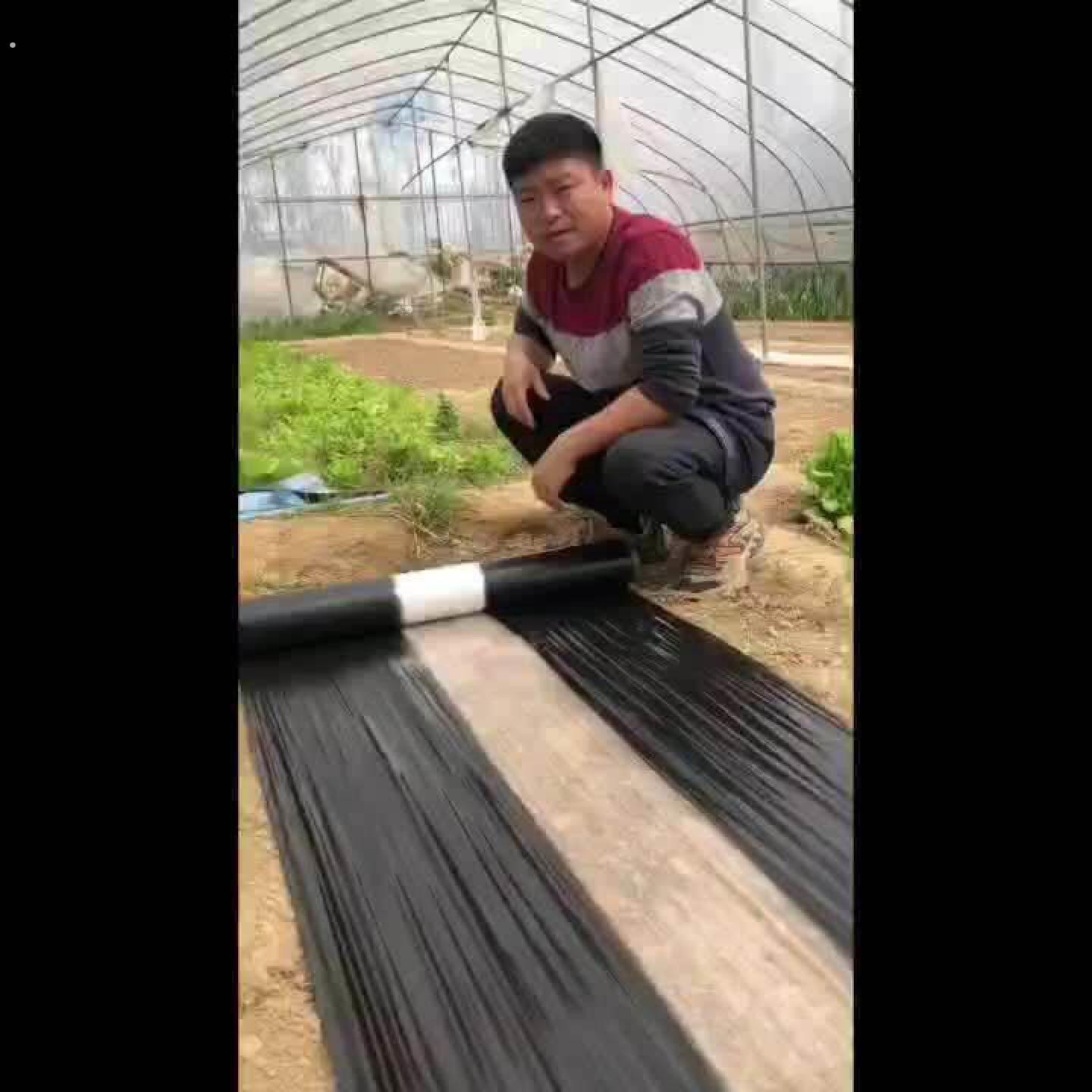 黑白相间地膜一次性膜白加黑地膜除草黑地膜黑色黑白地膜农用地膜