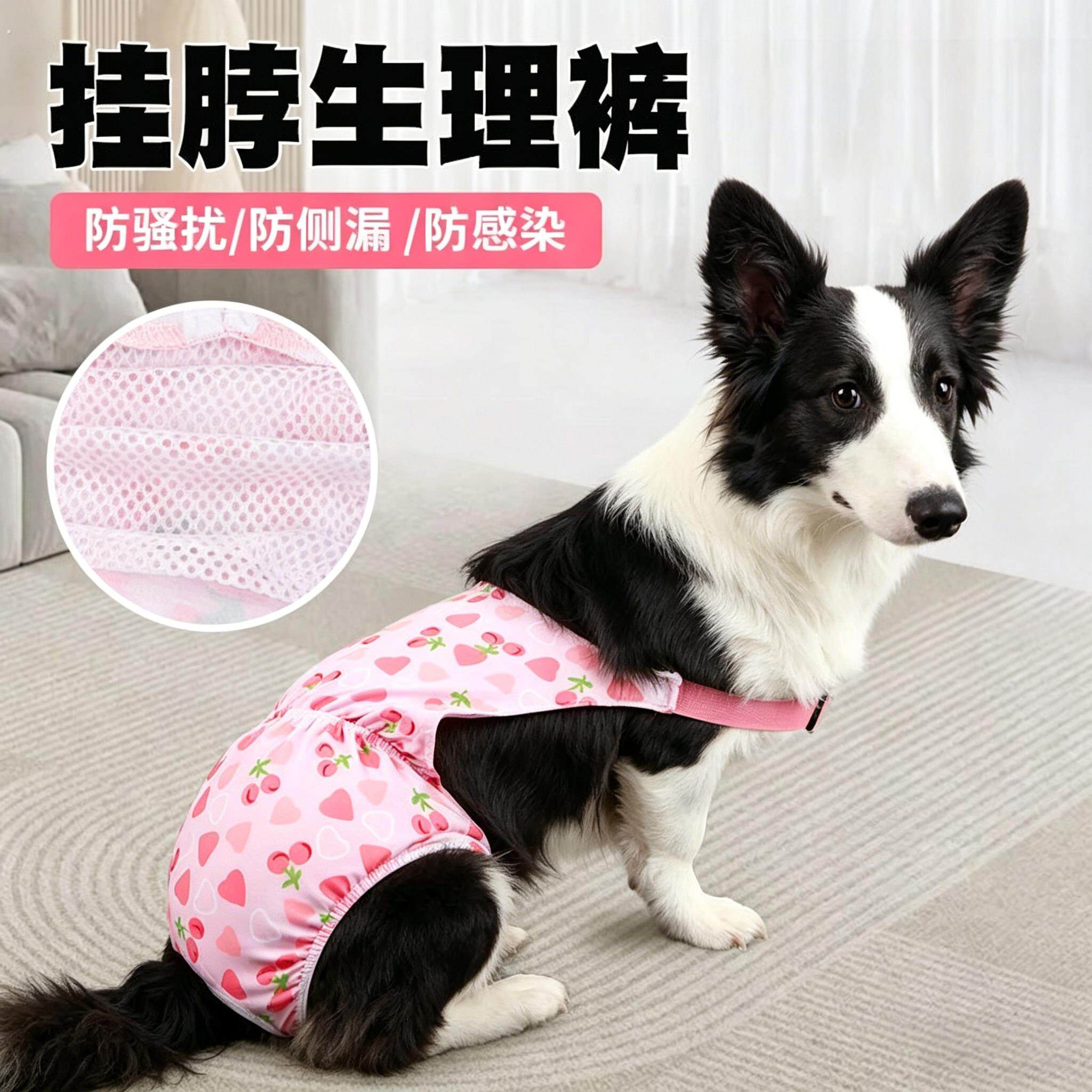 边牧专用狗狗生理裤狗宠物母狗生理期安全裤可排泄防交配裤大型犬